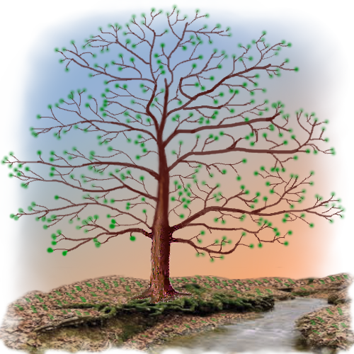 Family Tree